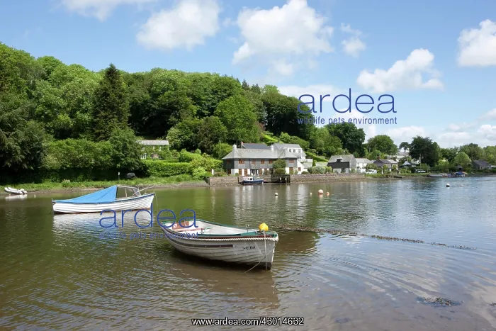  : Boats on water