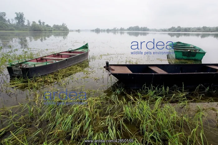 : Boats in water - Lac du Der Chantecocq - enormous : Boats in water - Lac du Der Chantecocq - enormous