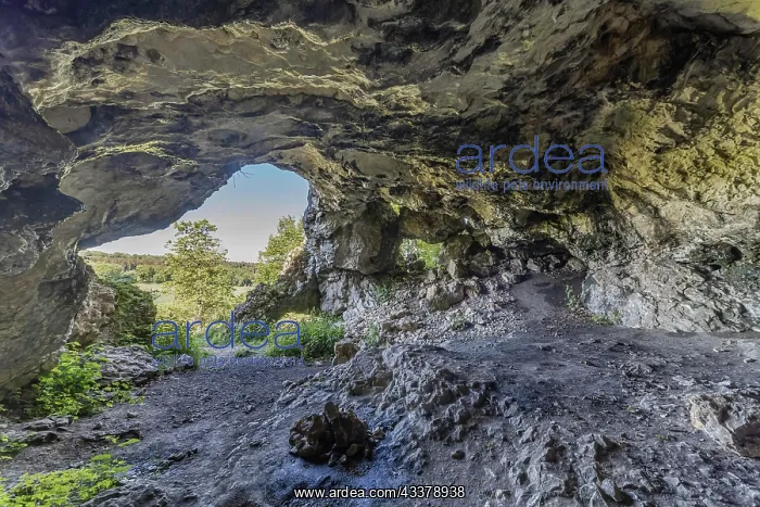 : Bocksteinhnhle, UNESCO World Heritage Site, part : Bocksteinhnhle, UNESCO World Heritage Site, part