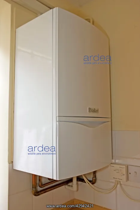 : Boiler - vaillant EcoTec modern combination or : Boiler - vaillant EcoTec modern combination or