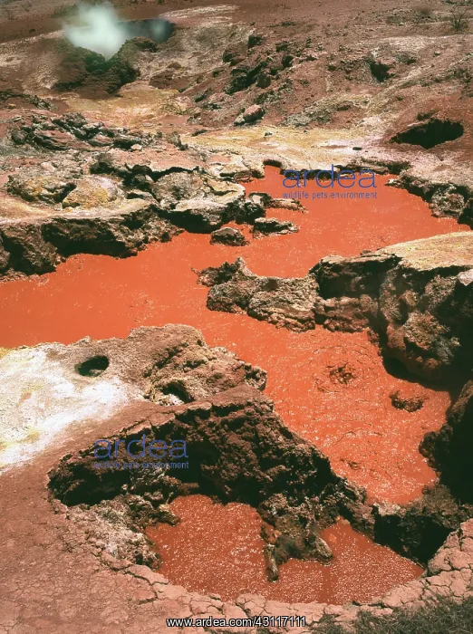 : Boiling Geothermal Mud Pot : Boiling Geothermal Mud Pot