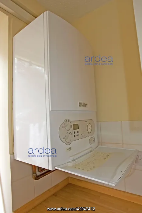 : Bolier - Vaillant EcoTec Plus modern combination : Bolier - Vaillant EcoTec Plus modern combination