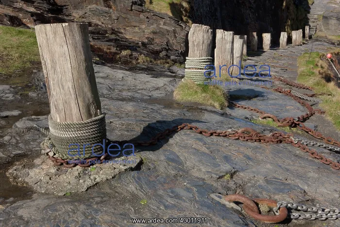 : Bollards Rope on the quayside at low tide Boscastle : Bollards Rope on the quayside at low tide Boscastle
