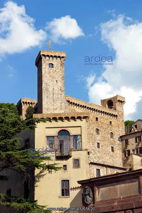 : Bolsena Castle (Rocca Monaldeschi)- 13th : Bolsena Castle (Rocca Monaldeschi)- 13th