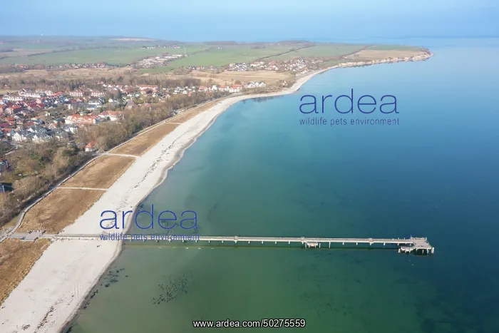 : Boltenhagen pier aerial : Boltenhagen pier aerial
