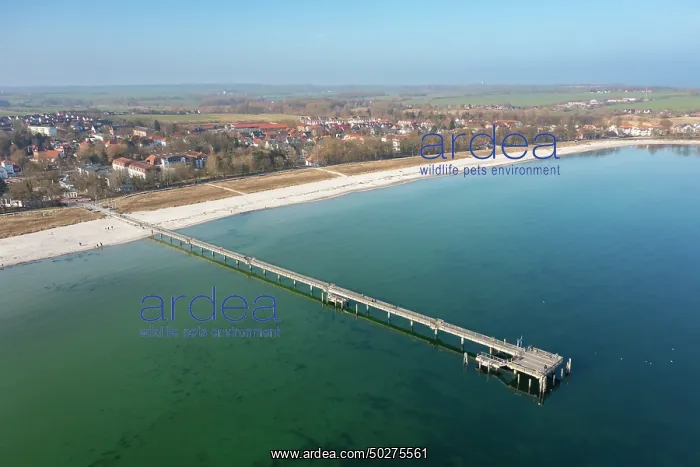 : Boltenhagen pier aerial : Boltenhagen pier aerial