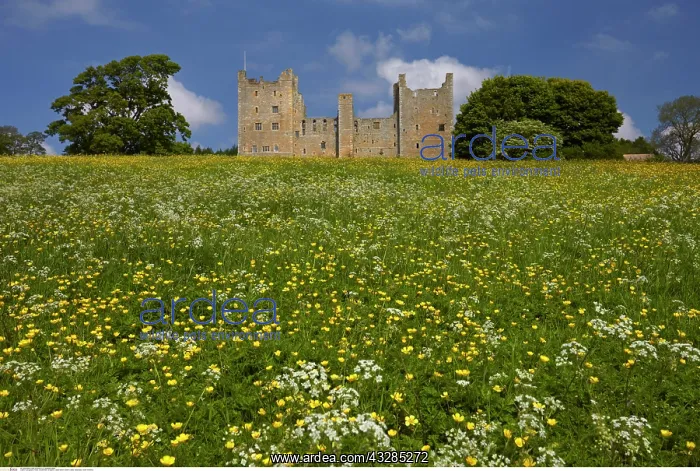 : Bolton Castle, Swaledale, North Yorkshire, England : Bolton Castle, Swaledale, North Yorkshire, England