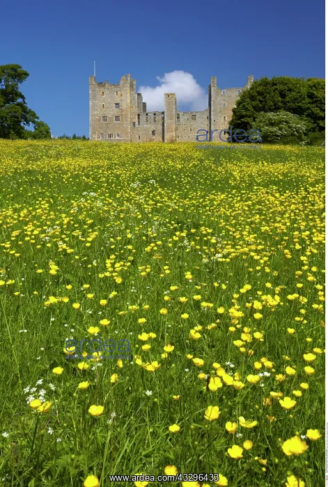 : Bolton Castle, Swaledale, North Yorkshire, England : Bolton Castle, Swaledale, North Yorkshire, England