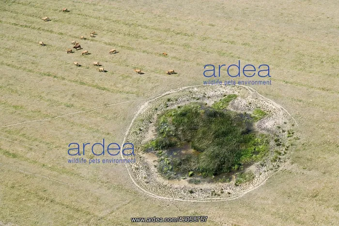: Former bomb crater pond turned into France : Former bomb crater pond turned into France