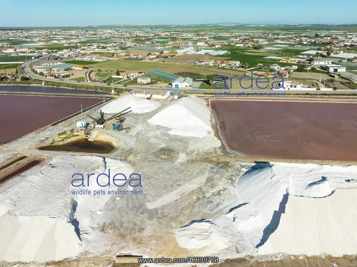 : The Bonanza salt works near Sanlcar de Barrameda : The Bonanza salt works near Sanlcar de Barrameda
