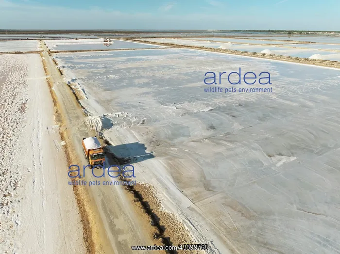 : The Bonanza salt works near Sanlcar de Barrameda : The Bonanza salt works near Sanlcar de Barrameda