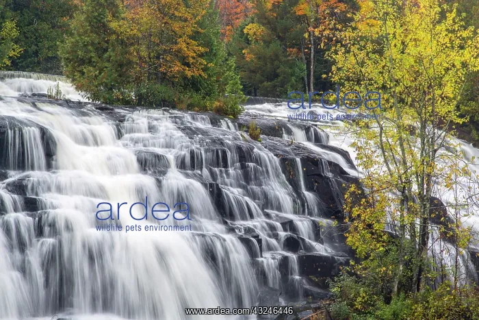 : Bond Falls in autumn near Paulding, Michigan : Bond Falls in autumn near Paulding, Michigan