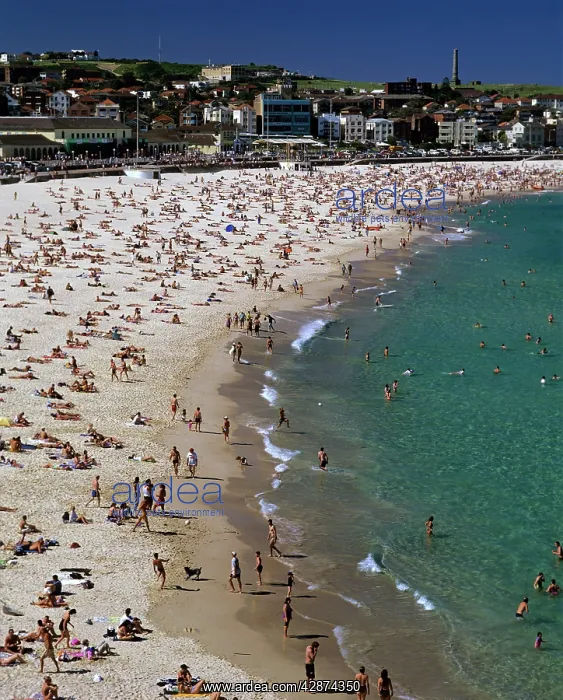 : Bondi Beach on a fine day : Bondi Beach on a fine day