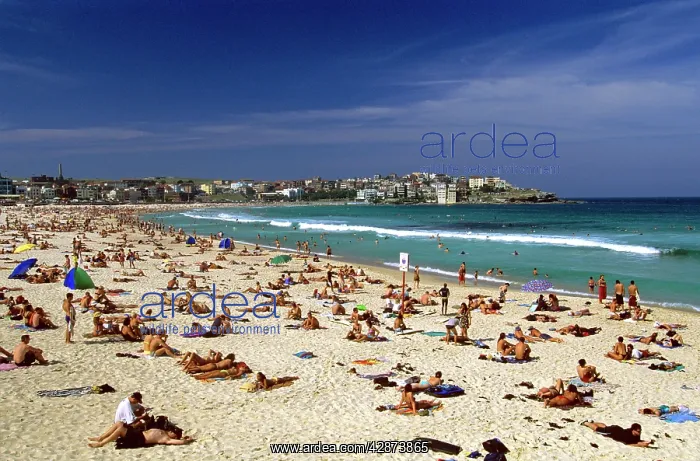 : Bondi Beach Sydney : Bondi Beach Sydney