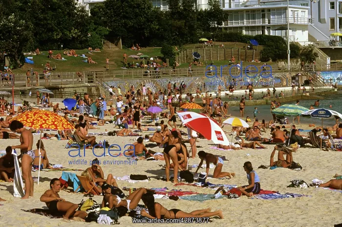 : Bondi Beach Sydney : Bondi Beach Sydney