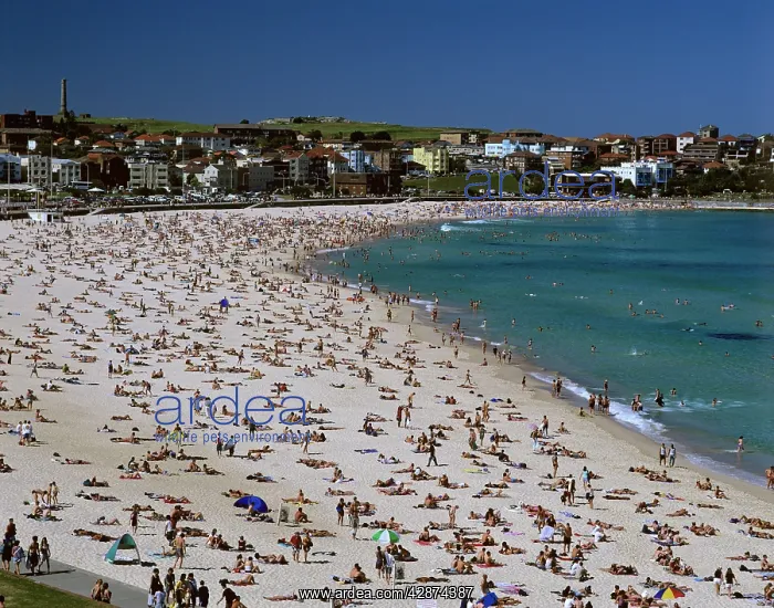 : Bondi Beach Sydney : Bondi Beach Sydney