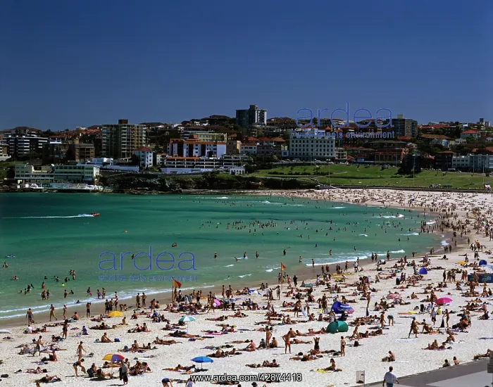 : Bondi Beach Sydney : Bondi Beach Sydney