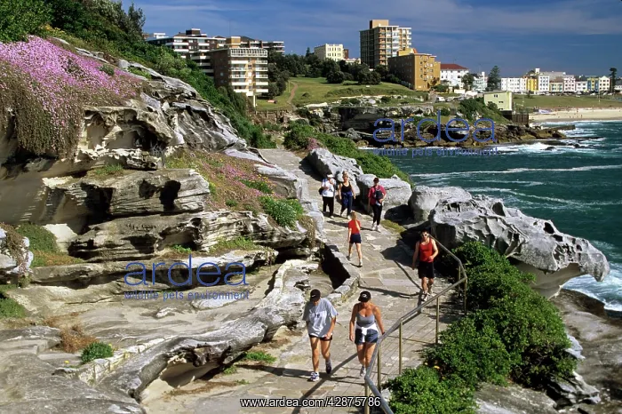 : Bondi to Bronte coast walk, Bondi Beach beyond Sydney : Bondi to Bronte coast walk, Bondi Beach beyond Sydney