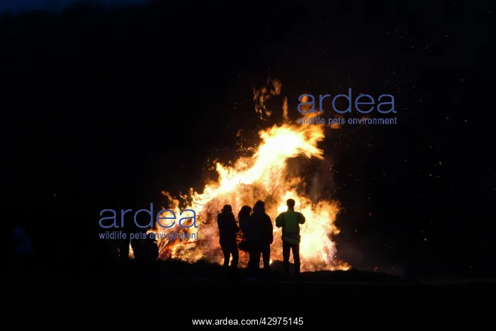 : Bonfire - tradition at Easter : Bonfire - tradition at Easter