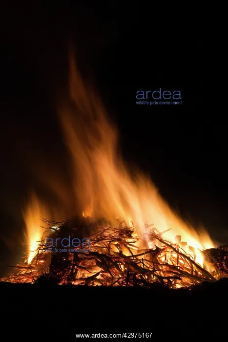: Bonfire - tradition at Easter : Bonfire - tradition at Easter