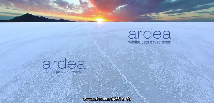 : Bonneville Salt Flats, Utah : Bonneville Salt Flats, Utah