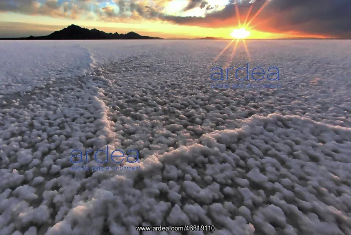 : Bonneville Salt Flats, Utah : Bonneville Salt Flats, Utah