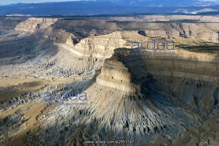 : The Book Cliffs are carved into the Mancos Shale : The Book Cliffs are carved into the Mancos Shale