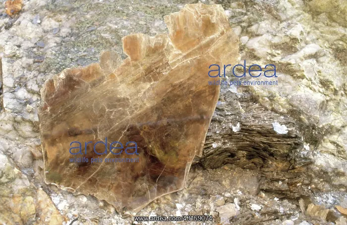 : Mica. A book of mica from the Ruggles Mine in New Hampshire : Mica. A book of mica from the Ruggles Mine in New Hampshire