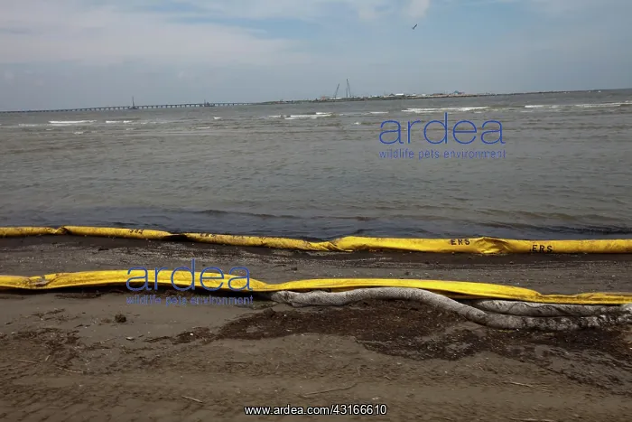 : Booms Placed to Block Oil Spill : Booms Placed to Block Oil Spill