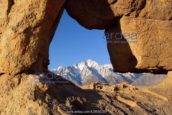 : Boot Arch - Lone Pine, one of the snow-capped mountains : Boot Arch - Lone Pine, one of the snow-capped mountains