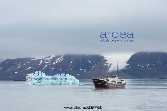 : Boot MS Cape Race at glacier Monacobreen - Norway : Boot MS Cape Race at glacier Monacobreen - Norway