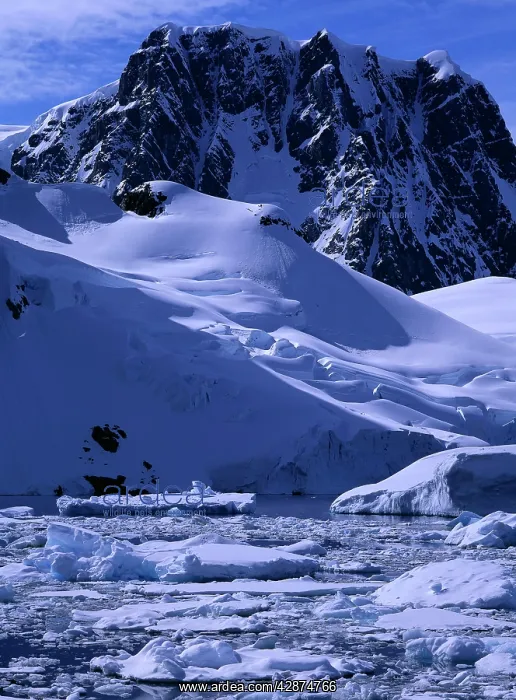  : Booth Island Antarctic Peninsula