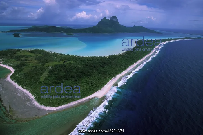 : Bora Bora, Society Islands, French Polynesia : Bora Bora, Society Islands, French Polynesia