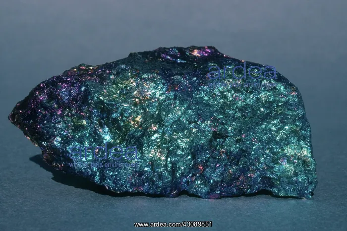 : Bornite, also known as peacock ore, from Mt. Lyell, Tasmania, Australia : Bornite, also known as peacock ore, from Mt. Lyell, Tasmania, Australia