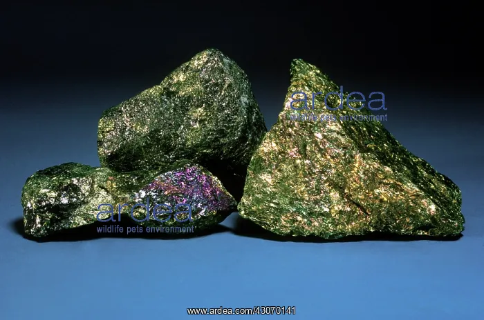 : Bornite from Butte, Montana : Bornite from Butte, Montana