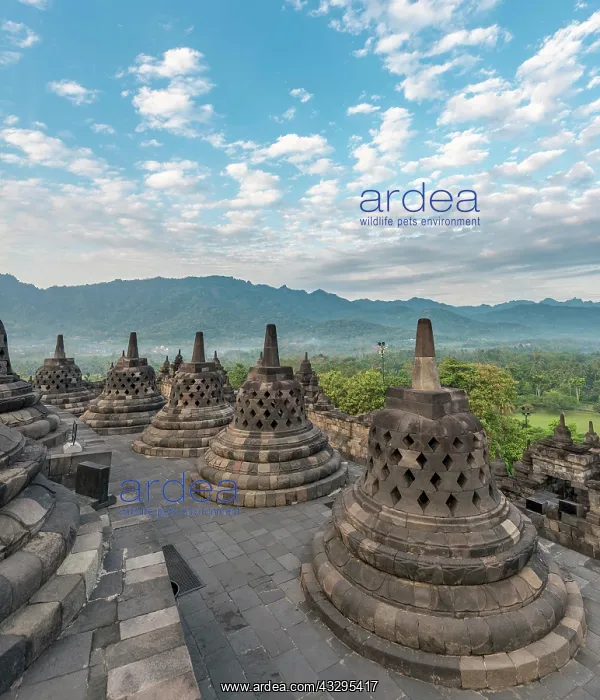  : Borobudur Temple Complex, cloudy sky, stupas, Borobudur