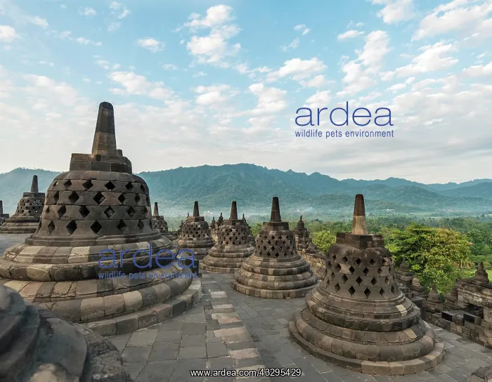 : Borobudur Temple Complex, cloudy sky, stupas, Borobudur : Borobudur Temple Complex, cloudy sky, stupas, Borobudur