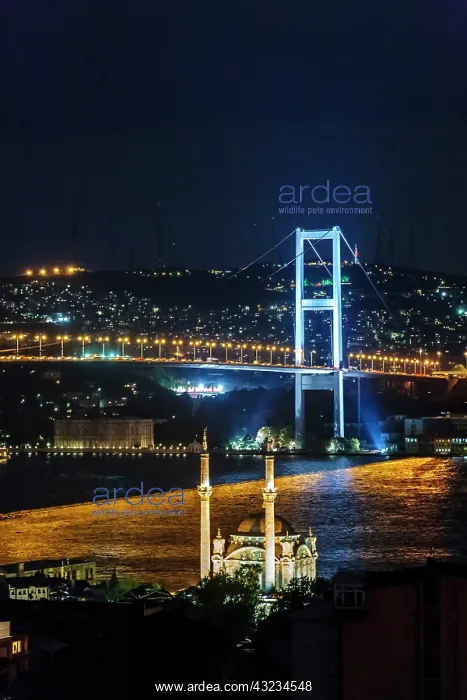 : The Bosphorus Bridge and The Great (Buyuk) : The Bosphorus Bridge and The Great (Buyuk)