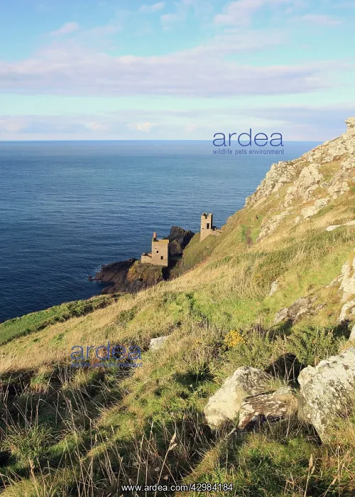: The Botallack Tin Mine and Coastline : The Botallack Tin Mine and Coastline