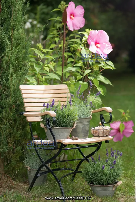 : Botanik, Schale mit Lavendel-botany, bowl with lavender : Botanik, Schale mit Lavendel-botany, bowl with lavender