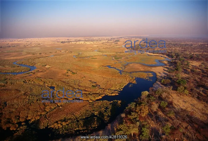  : Botswana - Linyanti floodplains