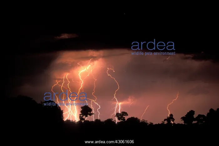 : Botswana, Moremi Game Reserve, Lightning : Botswana, Moremi Game Reserve, Lightning