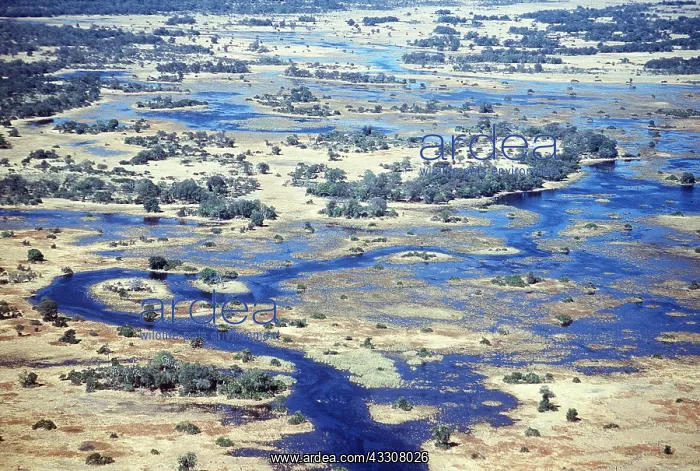: Botswana - Okavango Delta, at high flood, July : Botswana - Okavango Delta, at high flood, July
