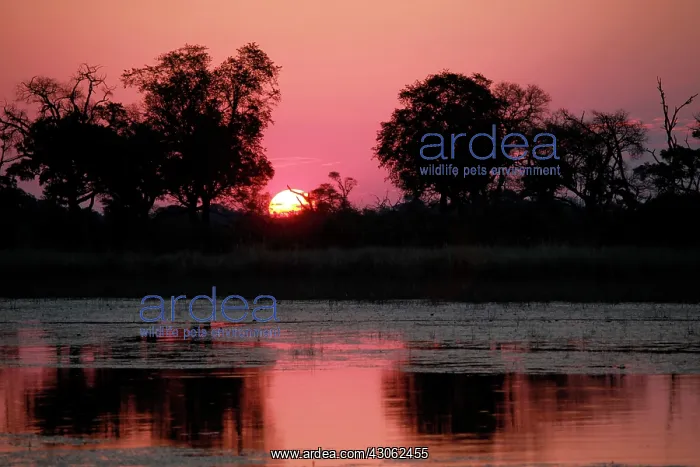 : Botswana, Okavango Delta. Sunset view from : Botswana, Okavango Delta. Sunset view from