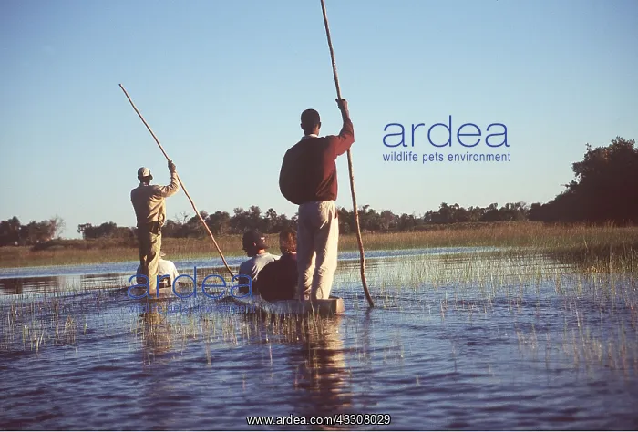 : BOTSWANA - Okavango Delta, toursits in makoros : BOTSWANA - Okavango Delta, toursits in makoros