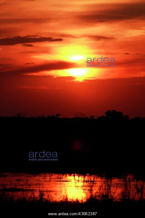 : Botswana, Savute. Sunset at Savute, Chobe : Botswana, Savute. Sunset at Savute, Chobe