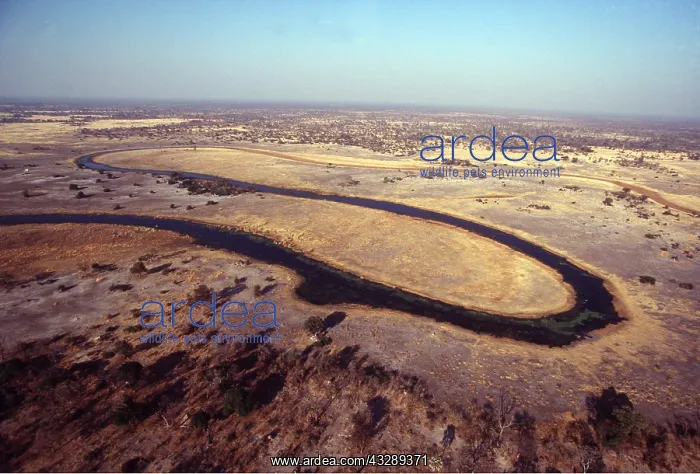 : BOTSWANA - Selinda spillway : BOTSWANA - Selinda spillway