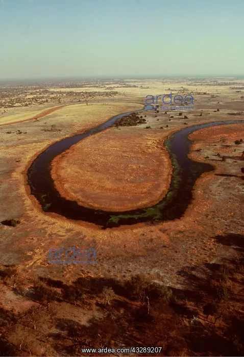 : BOTSWANA - Selinda Spillway (Magwagqana) : BOTSWANA - Selinda Spillway (Magwagqana)