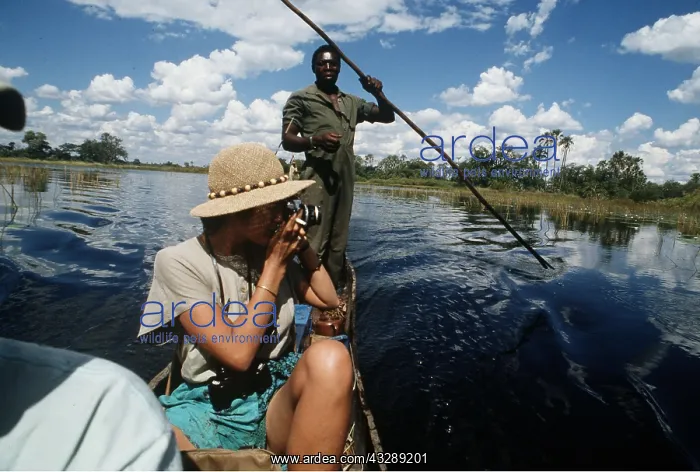 : BOTSWANA - tourist in a makoro canoe taking photo : BOTSWANA - tourist in a makoro canoe taking photo