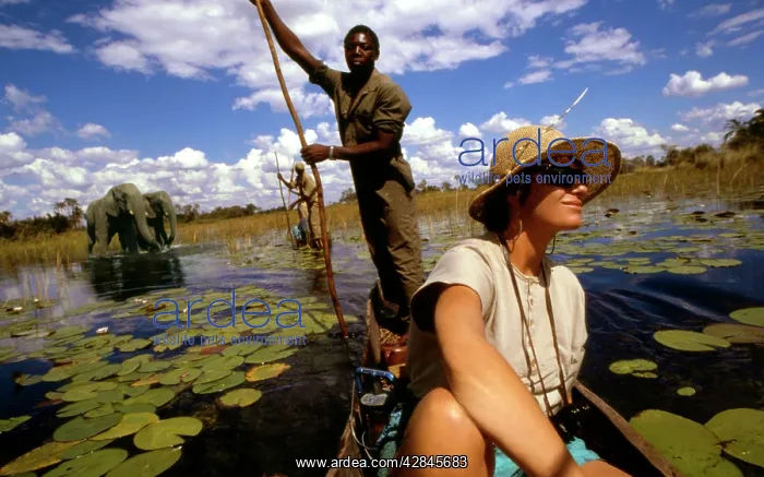: Botswana - Tourist rides in a traditional canoe - Makoro' : Botswana - Tourist rides in a traditional canoe - Makoro'
